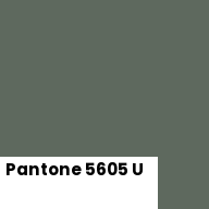 Color chip: Pantone 5605 U