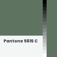 Color chip: Pantone 5615 C