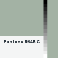 Color chip: Pantone 5645 C