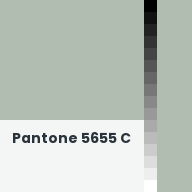Color chip: Pantone 5655 C