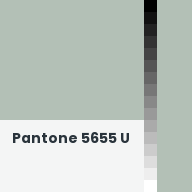 Color chip: Pantone 5655 U