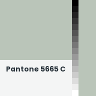 Color chip: Pantone 5665 C