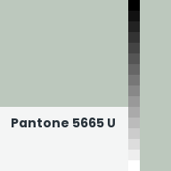 Color chip: Pantone 5665 U