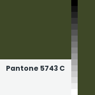 Color chip: Pantone 5743 C