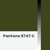 Color chip: Pantone 5747 C