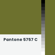 Color chip: Pantone 5757 C