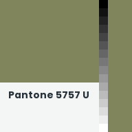 Color chip: Pantone 5757 U