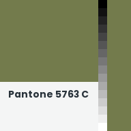 Color chip: Pantone 5763 C
