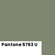 Color chip: Pantone 5763 U