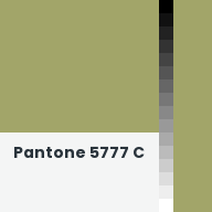 Color chip: Pantone 5777 C