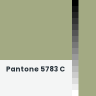 Color chip: Pantone 5783 C