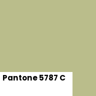Color chip: Pantone 5787 C