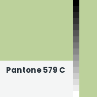Color chip: Pantone 579 C