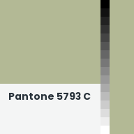Color chip: Pantone 5793 C