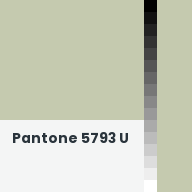 Color chip: Pantone 5793 U