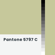 Color chip: Pantone 5797 C