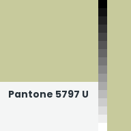 Color chip: Pantone 5797 U