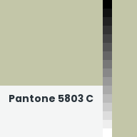 Color chip: Pantone 5803 C