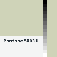 Color chip: Pantone 5803 U