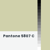 Color chip: Pantone 5807 C