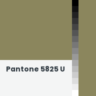 Color chip: Pantone 5825 U