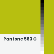 Color chip: Pantone 583 C