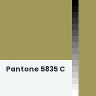 Color chip: Pantone 5835 C