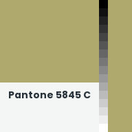 Color chip: Pantone 5845 C
