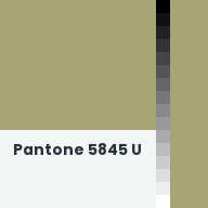 Color chip: Pantone 5845 U