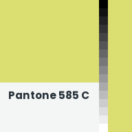 Color chip: Pantone 585 C