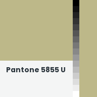 Color chip: Pantone 5855 U