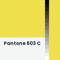 Color chip: Pantone 603 C