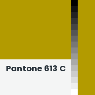 Color chip: Pantone 613 C