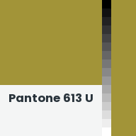 Color chip: Pantone 613 U