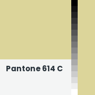 Color chip: Pantone 614 C