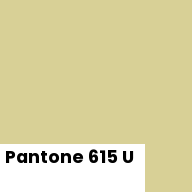 Color chip: Pantone 615 U