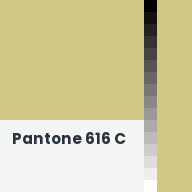 Color chip: Pantone 616 C