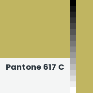 Color chip: Pantone 617 C