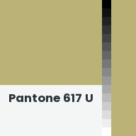 Color chip: Pantone 617 U