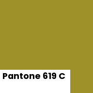 Color chip: Pantone 619 C