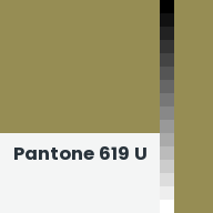 Color chip: Pantone 619 U