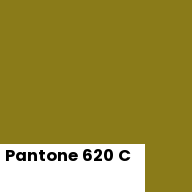 Color chip: Pantone 620 C