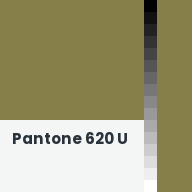 Color chip: Pantone 620 U