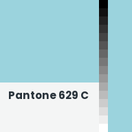 Color chip: Pantone 629 C