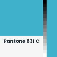 Color chip: Pantone 631 C