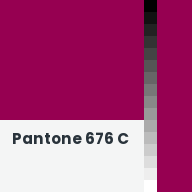 Color chip: Pantone 676 C