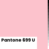Color chip: Pantone 699 U