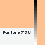 Color chip: Pantone 713 U