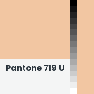 Color chip: Pantone 719 U