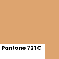 Color chip: Pantone 721 C